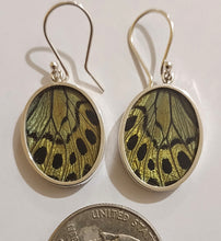 Load image into Gallery viewer, Butterfly earrings, real butterfly wing jewelry, real butterflies in jewelry, butterfly wings in jewelry, butterfly wing jewelry