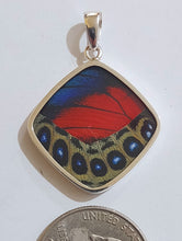 Load image into Gallery viewer, Butterfly wing jewelry, real butterfly, butterfly wing pendant, butterfly wing earrings real butterfly gifts, jewelry with butterfly wings
