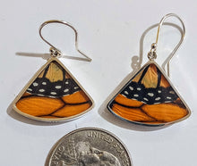 Load image into Gallery viewer, Butterfly earrings, real butterfly wing jewelry, real butterflies in jewelry, butterfly wings in jewelry, butterfly wing jewelry