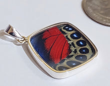 Load image into Gallery viewer, Butterfly wing jewelry, real butterfly, butterfly wing pendant, butterfly wing earrings real butterfly gifts, jewelry with butterfly wings