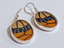 Load image into Gallery viewer, Butterfly earrings, real butterfly wing jewelry, real butterflies in jewelry, butterfly wings in jewelry, butterfly wing jewelry