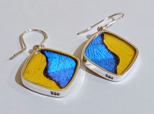 Load image into Gallery viewer, Butterfly wing jewelry, real butterfly, butterfly wing pendant, butterfly wing earrings real butterfly gifts, jewelry with butterfly wings