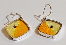 Load image into Gallery viewer, Butterfly earrings, real butterfly wing jewelry, real butterflies in jewelry, butterfly wings in jewelry, butterfly wing jewelry