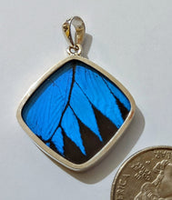 Load image into Gallery viewer, Butterfly wing jewelry, real butterfly, butterfly wing pendant, butterfly wing earrings real butterfly gifts, jewelry with butterfly wings
