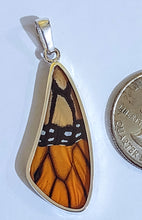 Load image into Gallery viewer, Butterfly wing jewelry, real butterfly, butterfly wing pendant, butterfly wing earrings real butterfly gifts, jewelry with butterfly wings