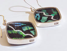 Load image into Gallery viewer, Butterfly earrings, real butterfly wing jewelry, real butterflies in jewelry, butterfly wings in jewelry, butterfly wing jewelry