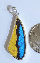 Load image into Gallery viewer, Butterfly wing jewelry, real butterfly, butterfly wing pendant, butterfly wing earrings real butterfly gifts, jewelry with butterfly wings