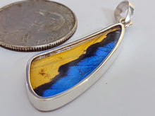 Load image into Gallery viewer, Butterfly wing jewelry, real butterfly, butterfly wing pendant, butterfly wing earrings real butterfly gifts, jewelry with butterfly wings