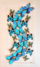 Load image into Gallery viewer, Framed Butterflies-Mounted Butterflies-Preserved Butterflies