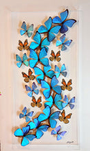 Load image into Gallery viewer, 16x34x2.5&quot; butterflies, butterfly taxidermy, butterfly collection butterfly displays, framed butterfly, butterfly art
