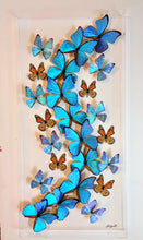 Load image into Gallery viewer, Framed Butterflies-Mounted Butterflies-Preserved Butterflies