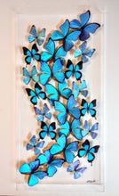 Load image into Gallery viewer, Framed Butterflies-Mounted Butterflies-Preserved Butterfliesmed butterfly, butterfly art
