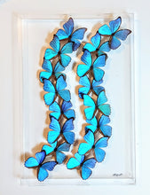 Load image into Gallery viewer, Framed Butterflies-Mounted Butterflies-Preserved Butterflies