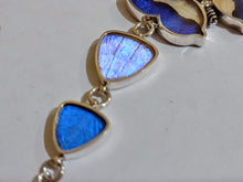 Load image into Gallery viewer, Butterfly wing bracelet, real butterfly, butterfly wing pendant, butterfly wing earrings real butterfly gifts, jewelry with butterfly wings