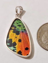 Load image into Gallery viewer, Butterfly wing jewelry, real butterfly, butterfly wing pendant, butterfly wing earrings real butterfly gifts, jewelry with butterfly wings
