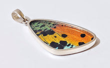 Load image into Gallery viewer, Butterfly wing jewelry, real butterfly, butterfly wing pendant, butterfly wing earrings real butterfly gifts, jewelry with butterfly wings