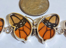 Load image into Gallery viewer, Butterfly wing bracelet, real butterfly, butterfly wing pendant, butterfly wing earrings real butterfly gifts, jewelry with butterfly wings