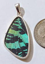 Load image into Gallery viewer, Butterfly wing jewelry, real butterfly, butterfly wing pendant, butterfly wing earrings real butterfly gifts, jewelry with butterfly wings