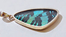 Load image into Gallery viewer, Butterfly wing jewelry, real butterfly, butterfly wing pendant, butterfly wing earrings real butterfly gifts, jewelry with butterfly wings