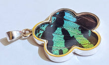 Load image into Gallery viewer, NEW FLOWER SHAPED! wing jewelry, real butterfly, butterfly wing pendant, butterfly wing earrings real butterfly gifts, jewelry with butterfly wings