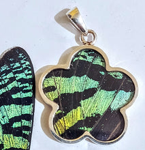 Load image into Gallery viewer, NEW FLOWER SHAPED! wing jewelry, real butterfly, butterfly wing pendant, butterfly wing earrings real butterfly gifts, jewelry with butterfly wings