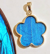 Load image into Gallery viewer, NEW FLOWER SHAPED! wing jewelry, real butterfly, butterfly wing pendant, butterfly wing earrings real butterfly gifts, jewelry with butterfly wings