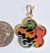 Load image into Gallery viewer, NEW FLOWER SHAPED! wing jewelry, real butterfly, butterfly wing pendant, butterfly wing earrings real butterfly gifts, jewelry with butterfly wings