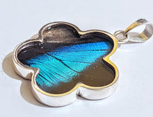 Load image into Gallery viewer, NEW FLOWER SHAPED! wing jewelry, real butterfly, butterfly wing pendant, butterfly wing earrings real butterfly gifts, jewelry with butterfly wings