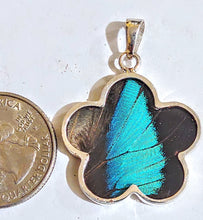 Load image into Gallery viewer, NEW FLOWER SHAPED! wing jewelry, real butterfly, butterfly wing pendant, butterfly wing earrings real butterfly gifts, jewelry with butterfly wings