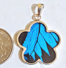 Load image into Gallery viewer, NEW FLOWER SHAPED! wing jewelry, real butterfly, butterfly wing pendant, butterfly wing earrings real butterfly gifts, jewelry with butterfly wings