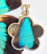 Load image into Gallery viewer, NEW FLOWER SHAPED! wing jewelry, real butterfly, butterfly wing pendant, butterfly wing earrings real butterfly gifts, jewelry with butterfly wings
