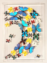 Load image into Gallery viewer, Framed Butterflies-Mounted Butterflies-Preserved Butterflies