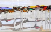 Load image into Gallery viewer, Framed Butterflies-Mounted Butterflies-Preserved Butterflies