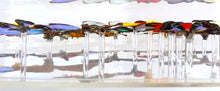 Load image into Gallery viewer, Framed Butterflies-Mounted Butterflies-Preserved Butterflies