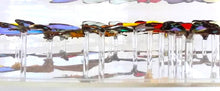 Load image into Gallery viewer, Framed Butterflies-Mounted Butterflies-Preserved Butterflies