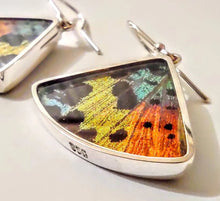 Load image into Gallery viewer, Butterfly wing jewelry, real butterfly, butterfly wing pendant, butterfly wing earrings real butterfly gifts, jewelry with butterfly wings