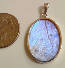 Load image into Gallery viewer, Butterfly wing jewelry, real butterfly, butterfly wing pendant, butterfly wing earrings real butterfly gifts, jewelry with butterfly wings