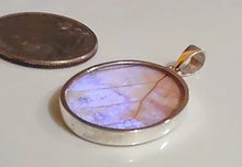 Load image into Gallery viewer, Butterfly wing jewelry, real butterfly, butterfly wing pendant, butterfly wing earrings real butterfly gifts, jewelry with butterfly wings