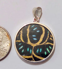 Load image into Gallery viewer, Butterfly wing jewelry, real butterfly, butterfly wing pendant, butterfly wing earrings real butterfly gifts, jewelry with butterfly wings