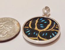 Load image into Gallery viewer, Butterfly wing jewelry, real butterfly, butterfly wing pendant, butterfly wing earrings real butterfly gifts, jewelry with butterfly wings