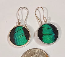 Load image into Gallery viewer, Butterfly earrings, real butterfly wing jewelry, real butterflies in jewelry, butterfly wings in jewelry, butterfly wing jewelry