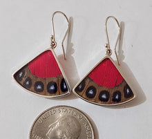 Load image into Gallery viewer, Butterfly wing jewelry, real butterfly, butterfly wing pendant, butterfly wing earrings real butterfly gifts, jewelry with butterfly wings