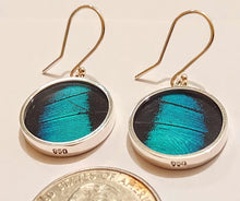 Load image into Gallery viewer, Butterfly earrings, real butterfly wing jewelry, real butterflies in jewelry, butterfly wings in jewelry, butterfly wing jewelry