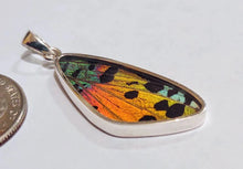 Load image into Gallery viewer, Butterfly wing jewelry, real butterfly, butterfly wing pendant, butterfly wing earrings real butterfly gifts, jewelry with butterfly wings
