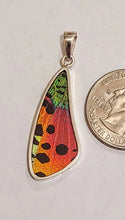 Load image into Gallery viewer, Butterfly wing jewelry, real butterfly, butterfly wing pendant, butterfly wing earrings real butterfly gifts, jewelry with butterfly wings