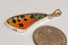 Load image into Gallery viewer, Butterfly wing jewelry, real butterfly, butterfly wing pendant, butterfly wing earrings real butterfly gifts, jewelry with butterfly wings