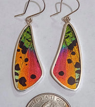 Load image into Gallery viewer, Butterfly wing jewelry, real butterfly, butterfly wing pendant, butterfly wing earrings real butterfly gifts, jewelry with butterfly wings