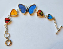 Load image into Gallery viewer, Butterfly wing bracelet, real butterfly, butterfly wing pendant, butterfly wing earrings real butterfly gifts, jewelry with butterfly wings