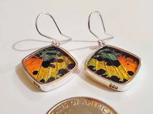 Load image into Gallery viewer, Butterfly wing jewelry, real butterfly, butterfly wing pendant, butterfly wing earrings real butterfly gifts, jewelry with butterfly wings
