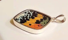 Load image into Gallery viewer, Butterfly wing jewelry, real butterfly, butterfly wing pendant, butterfly wing earrings real butterfly gifts, jewelry with butterfly wings